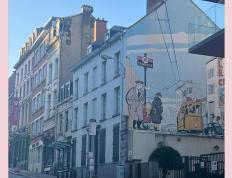 比利时战胜冰岛积极向前，迈向胜利