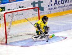 纳达尔连续三场比赛得分惊艳，全场沸腾！加拿大队迎来突破之夜